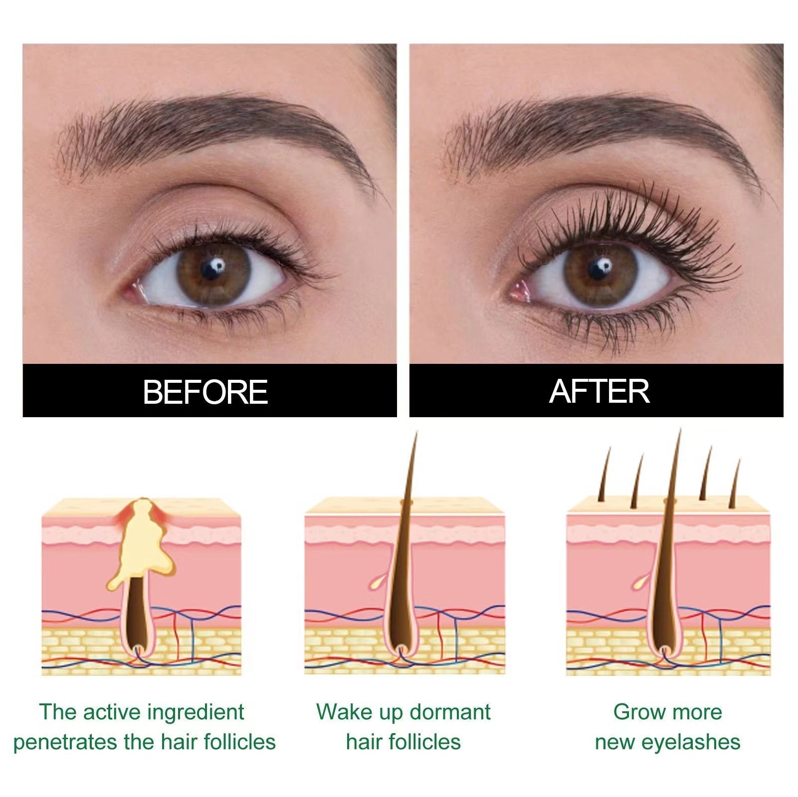 BBOJI™ Lash Luxe Rizinusöl Veganes Wachstumserum (🔥VERKAUF-80% RABATT🔥)