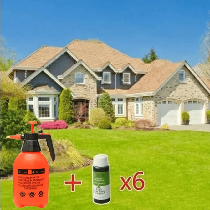 🔥Letzter Tag 70% RABATT🌱Hydro-Saat Rasenlösung
